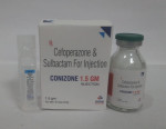 CONIZONE 1 GM