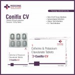 Conifix CV